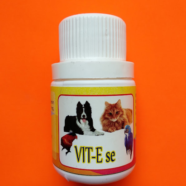 Vit-Ese vitamin untuk mengatasi tingkat kesuburan hewan betina
