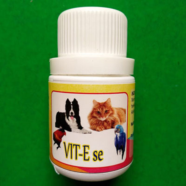 Vitamin untuk meningkatkan kesuburan pada anjing,kucing,burung